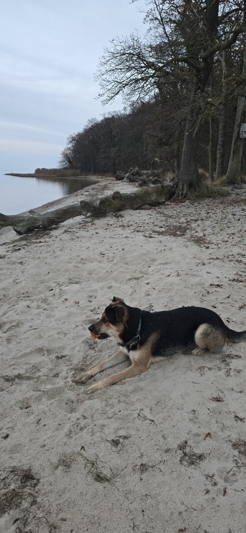 Bade- und Buddelspaß