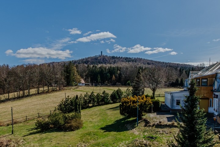 Blick vom Wohnzimmer und vom Schlafzimmer zum Hochwald