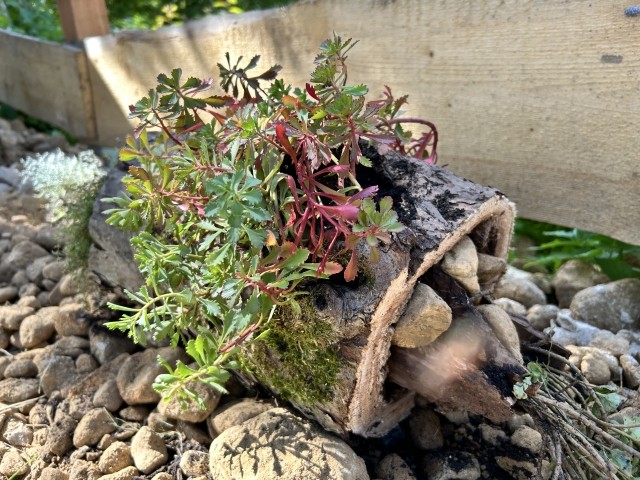 außergewöhnliche Außendeko - entdeckt unser Cottage