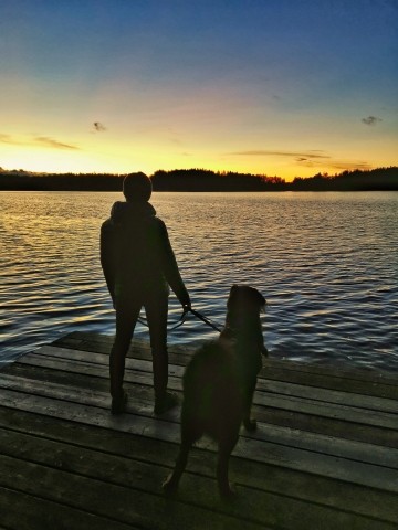 Wunderschöner Sonnenuntergang am Hartsee
