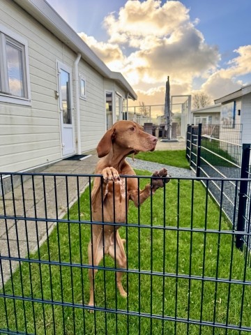 Das Grundstück ist komplett eingezäunt