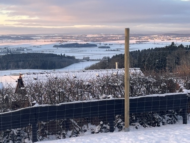 Genießen Sie die Aussicht, direkt von der Terrasse aus 