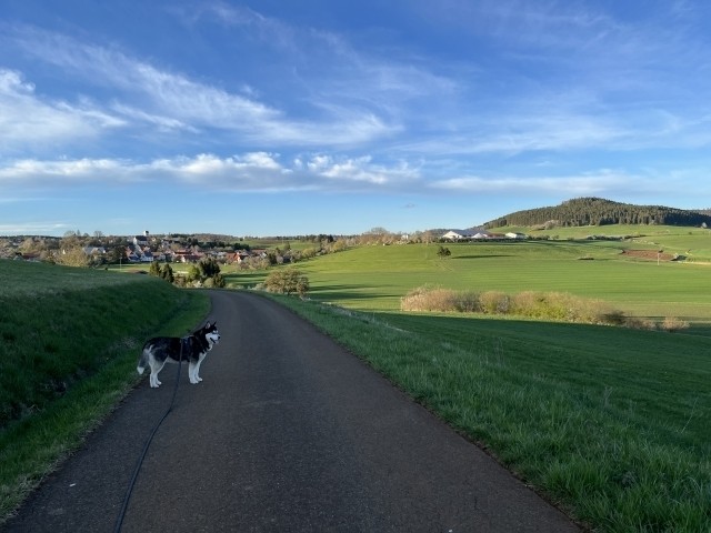 Unzählige Wege laden zum Wandern ein 