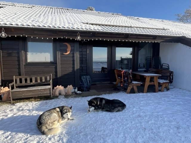 Terrasse mit Holzmöbeln, Stühlen und Grill - im Sommer mit Sonnenschirm, Sonnensegel und Sonnenliegen