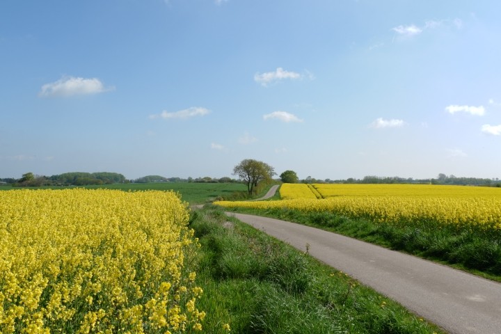 Radwege durch die Hügellandschaft Angeln