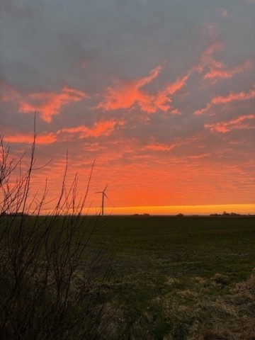 Blick aus dem Wohnzimmerfenster