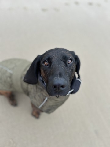 Strandloper - Glücklich steht ihm gut