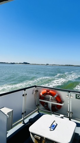 Über die Schelde – dem Urlaub entgegen