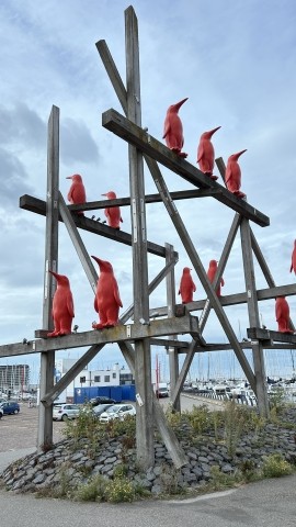 Die heimlichen Stars des Hafens