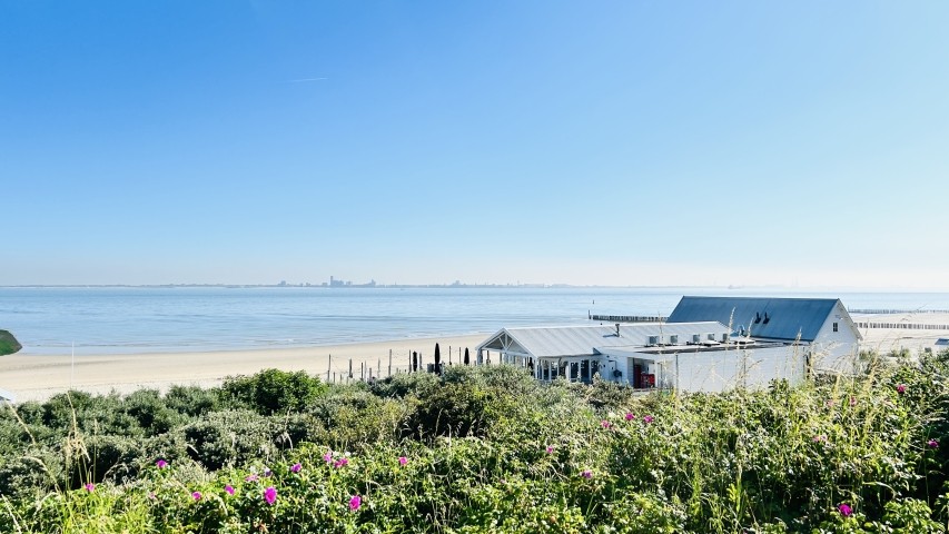 Deichblick statt Bildschirm