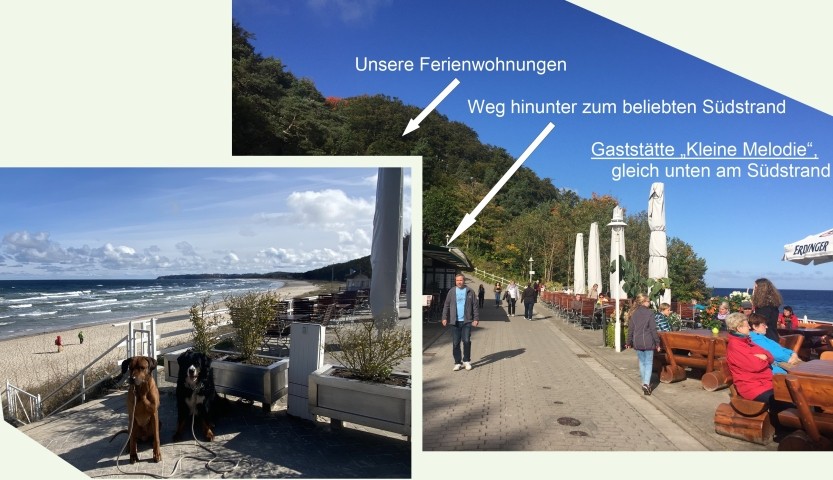Weg zum Strand an der Ferienwohnung Freibeuter
