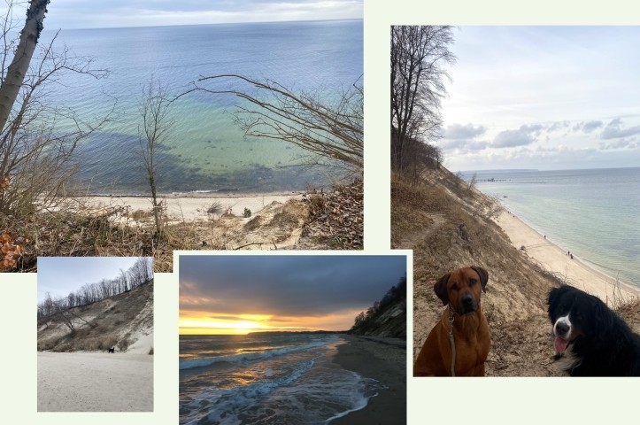 auf der Hochdüne bei der Ferienwohnung Freibeuter in Sellin