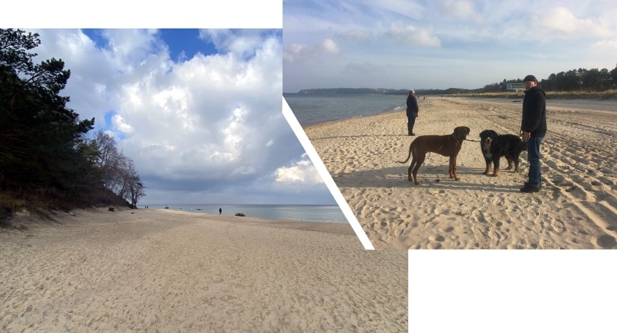 am hundefreundlichen Südstrand an der Ferienwohnung Freibeuter in Sellin