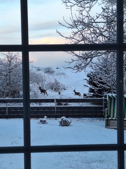 Kombüse mit Essecke und Dünenblick 