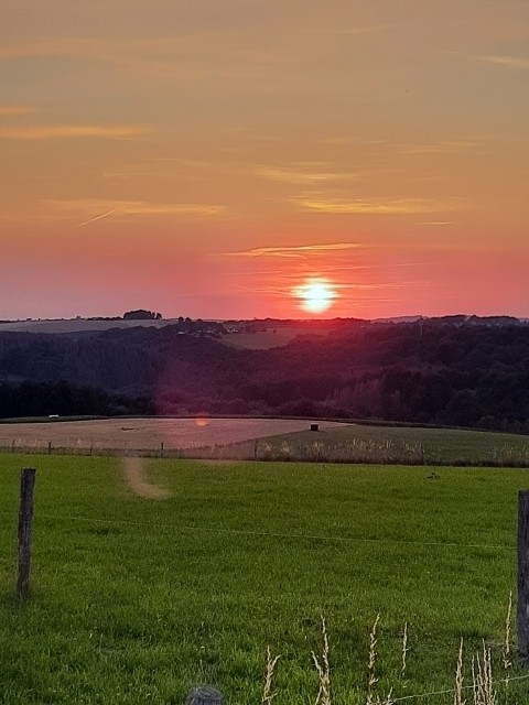 Sonnen Untergang vom Waldweg 