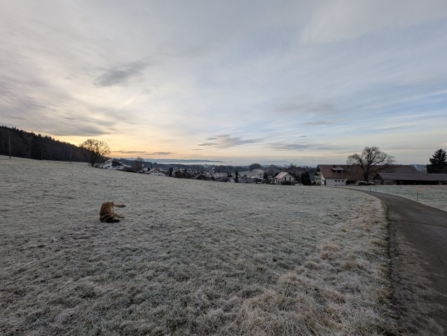 Gassigehen direkt vom Haus aus 