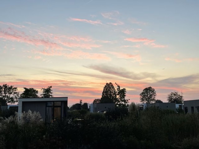 Abendstimmung im Park