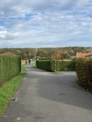 Weg zum Strand/ Deich