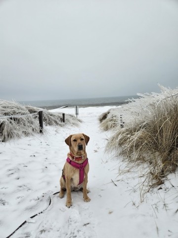Winterurlaub an der Ostsee