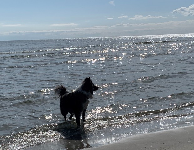 Unser Rudi badet sehr gerne!