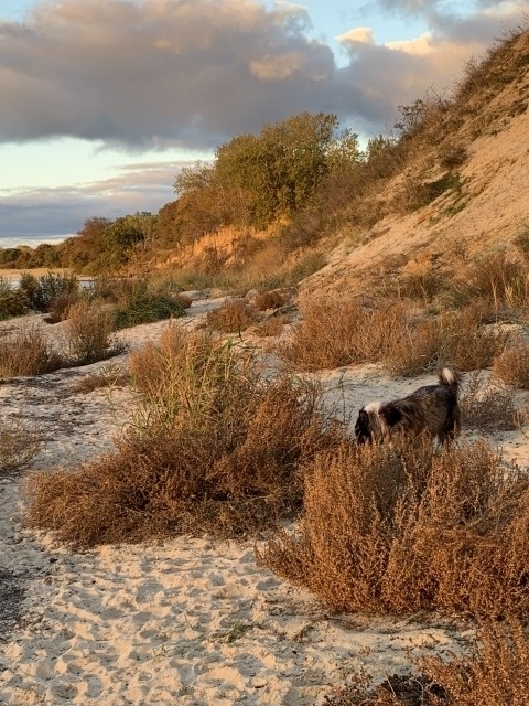 Herbst- und Frühjahr am Südstrand von Göhren
