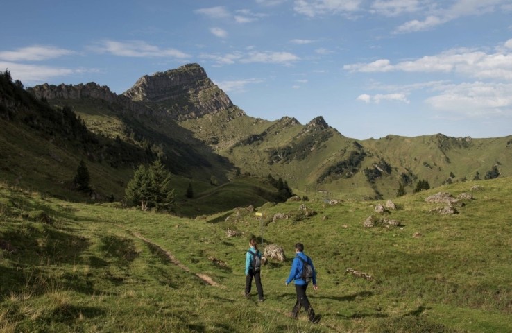 Speer für Wanderungen, Europas höchster Nagelfluh-Berg (4.5 Stunden)