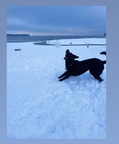 Auch im Winter eine Erholung 