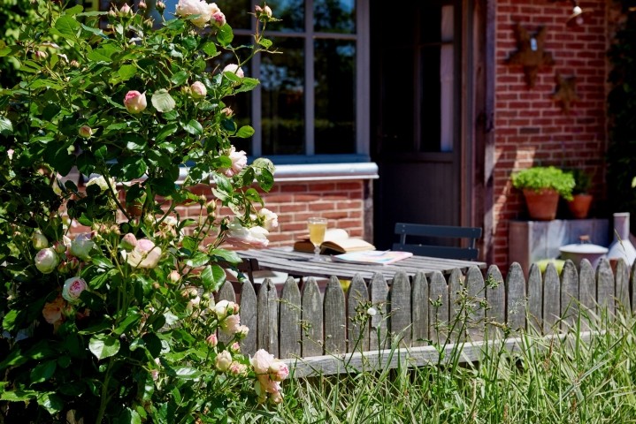 Die sonnige Terrasse mit Blick auf den Garten