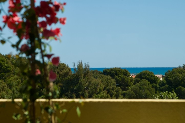Vom Balkon Richtung Meer – zwischen Pinien und Dächern