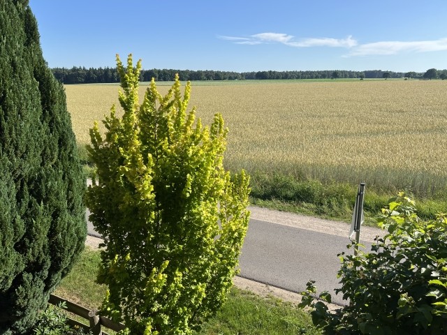 Ausblick, Schlafzimmer 2