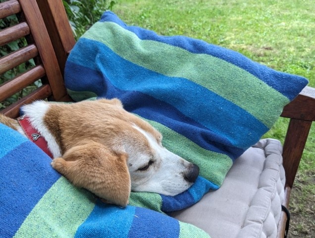 Sitzecke auch für den Hund