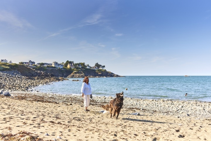 Hundefreundlicher Strand nur 15 Minuten von Ihrem Ferienhaus entfernt