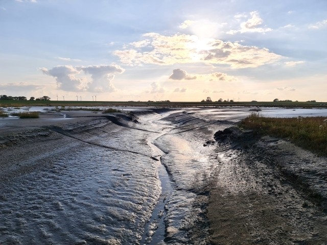 Herrliche Wanderwege durchs Watt.