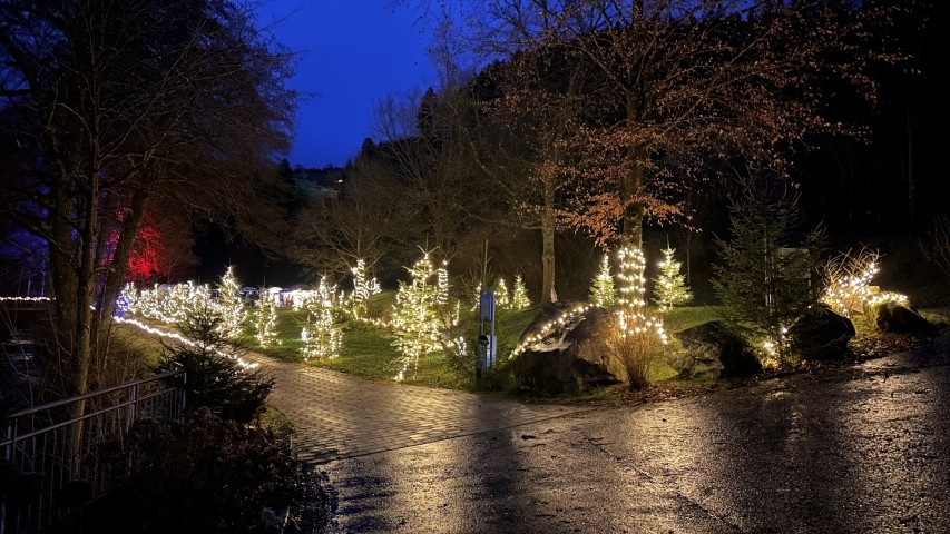 Der Kurpark an Weihnachten