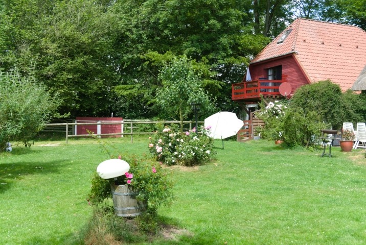 Blick vom Garten auf das Haus