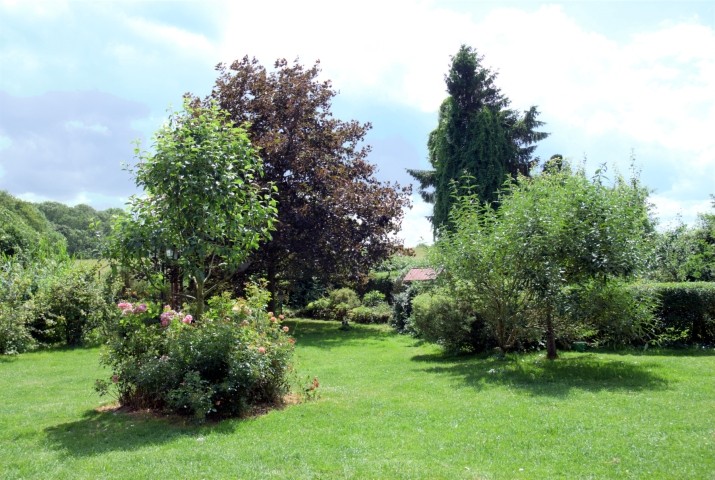 Blick in den Garten von der Terasse