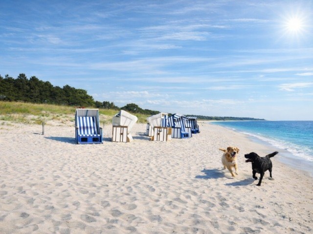 Strand der Schaabe in Juliusruh