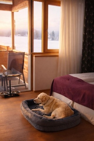 Hundesuite mit Ausblick Winter