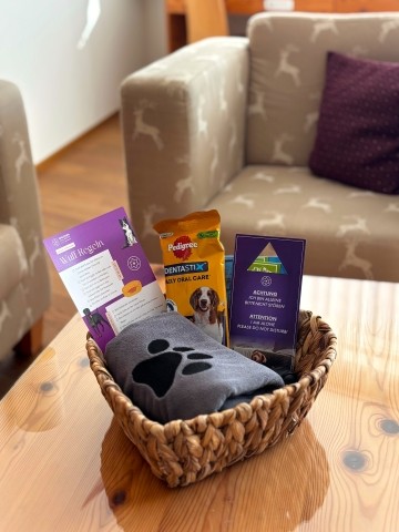 Willkommenskorb Hund