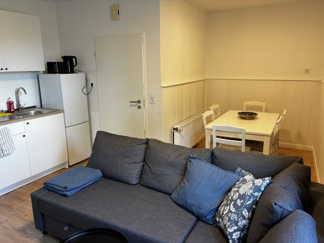 Wohn- und Essebereich mit Eckcouch und Küchenzeile