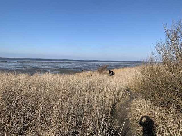 Bensersieler Naturstrand im Herbst