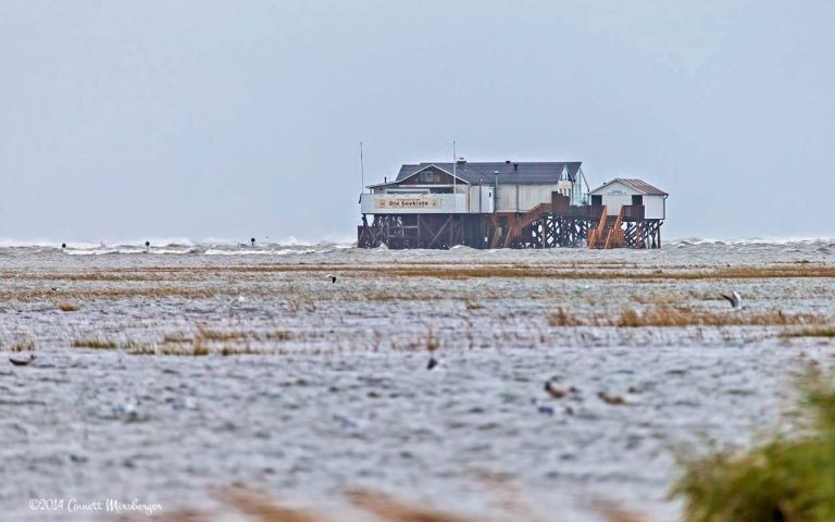 Landunter in Böhl