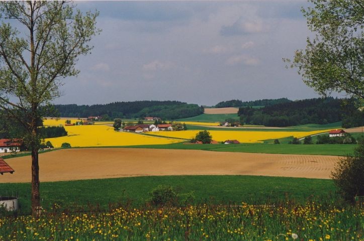 Umgebung