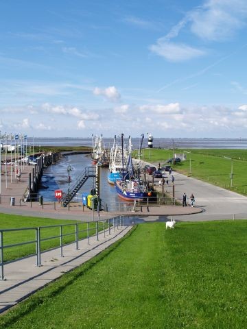 Kutterhafen