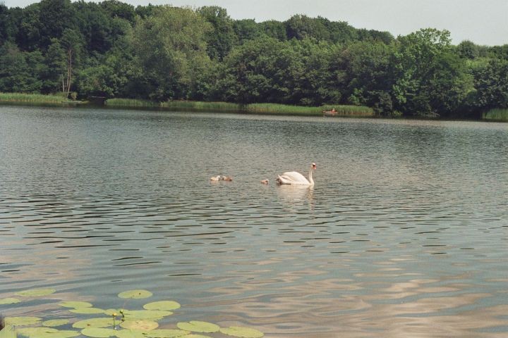 Blick auf den See