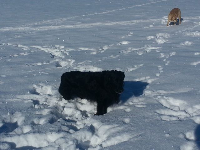 auch im Winter ganz toll