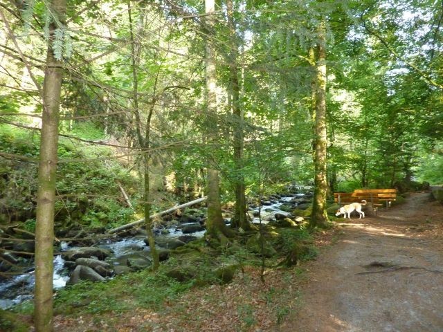 Saußbachklamm 