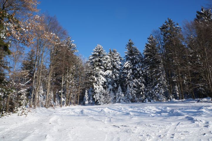 Winterlandschaft 