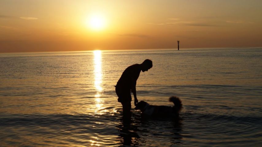 ...oder mit dem Herrchen den Sonnenuntergang zu genießen