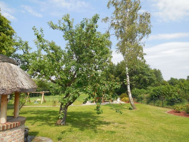  Rund 1600qm sind komplett eingezäunt